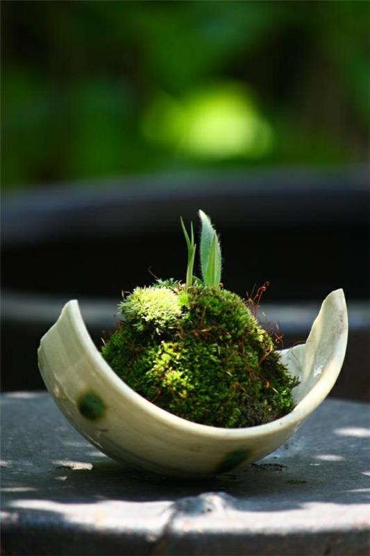 luo mini zen -puutarhakeraamisia mossia