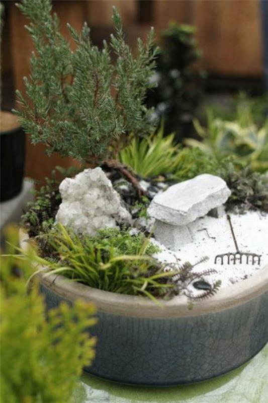 puutarha mini bonsai design vihreä mini zen