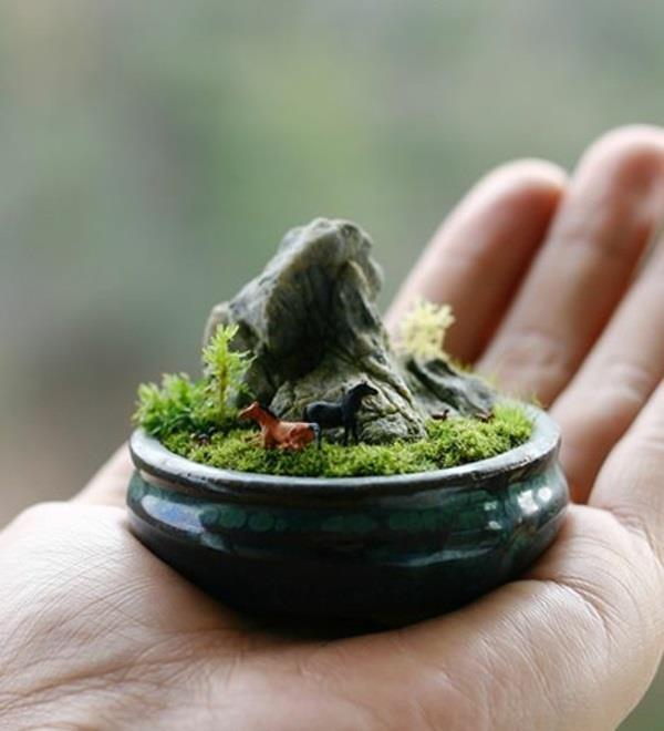 mini bonsai kourallinen mini zen -puutarhaa
