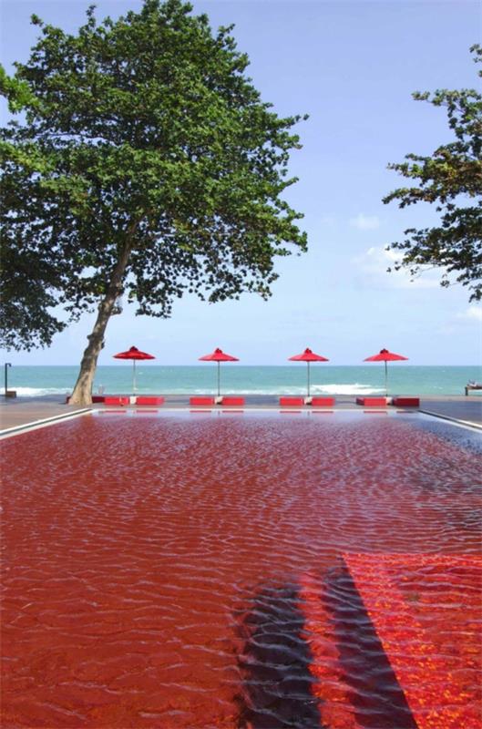 minimalistinen hotelli suunnittelee kirjaston uima -altaan punaiseksi