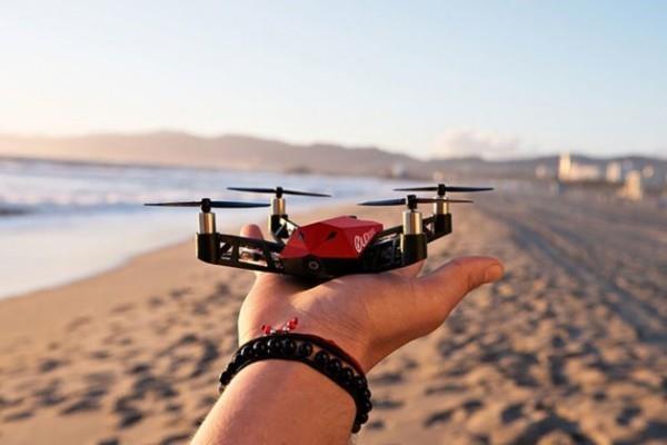 Udrone -drone rannalla