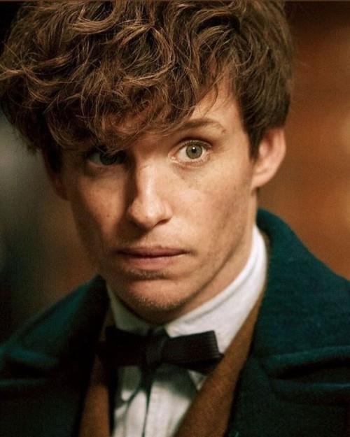 keskipitkät modernit miesten kampaukset eddie redmayne
