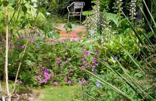 moderni puutarha kuvat kasvit koriste värikäs käytännöllinen