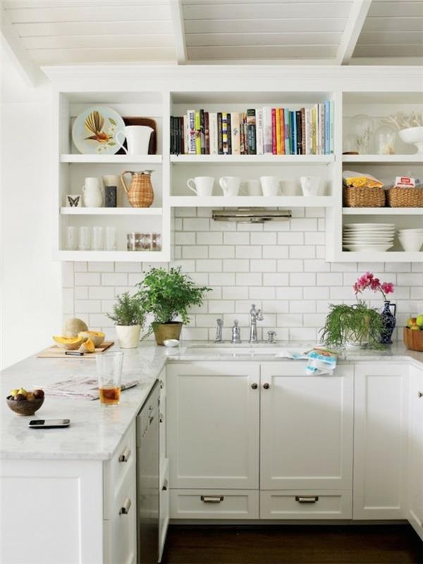 moderni keittiörakenne valkoisissa avoimissa seinähyllyissä ja paljon kasveja