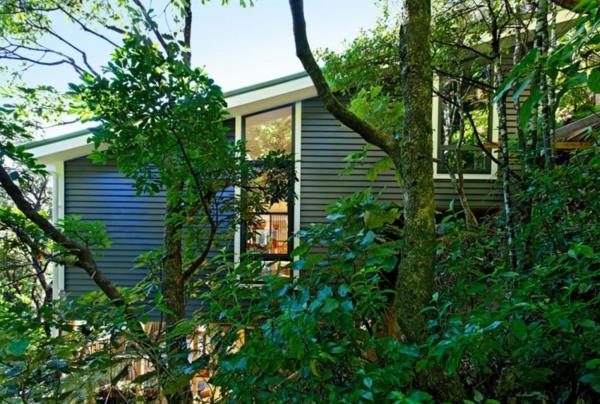 moderni suunnittelija talo luonto puut vihreät ikkunat