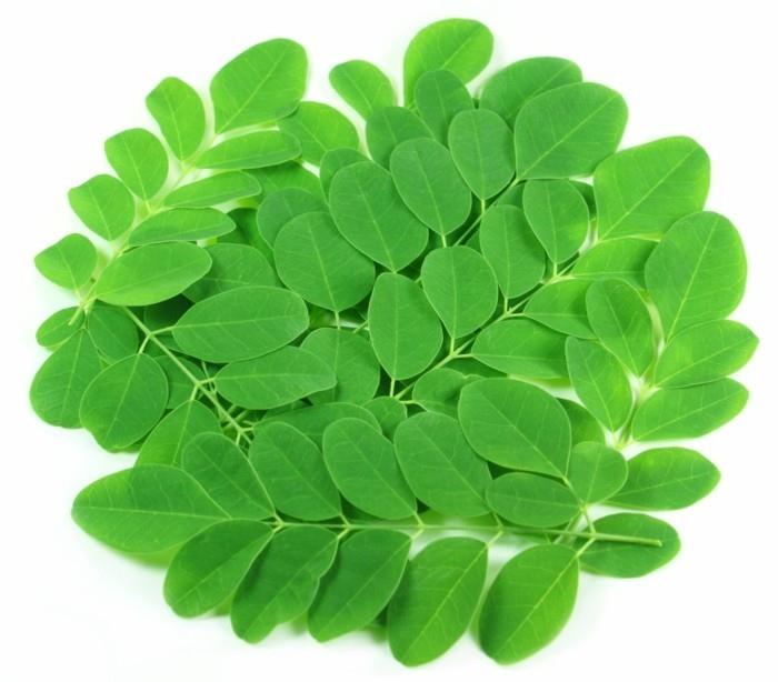 moringa jättää mahaongelmia vastaan ​​tulehdus