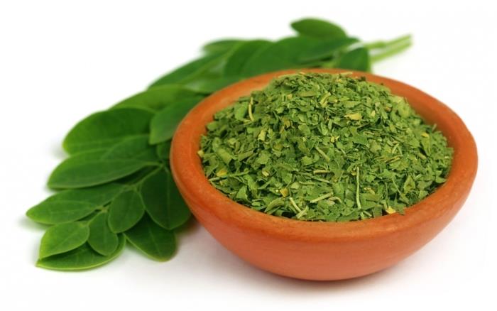 moringa -jauhe terveet vihreät lehdet kuivattu leikattu