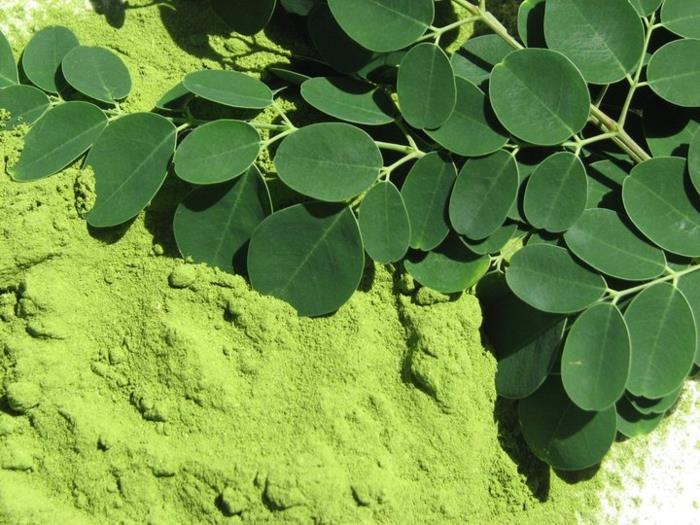 moringajauhe terveet vitamiinipitoiset proteiinit kalium