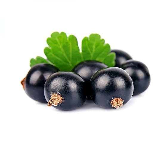 ÆldsteBerry