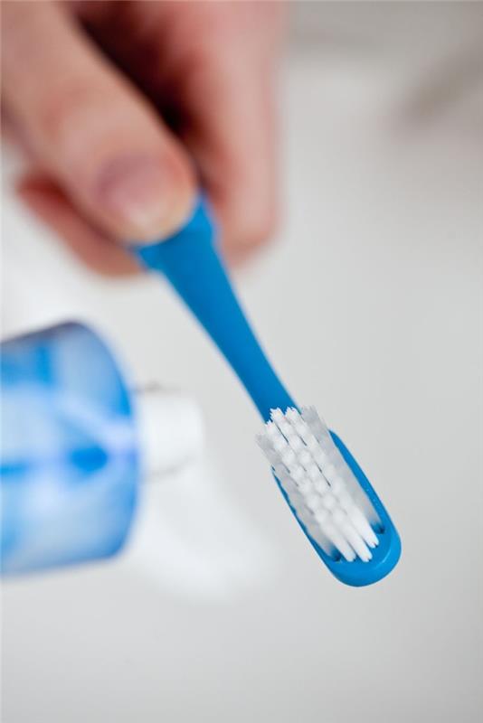 Suuhygienia harja hampaat hammasharja