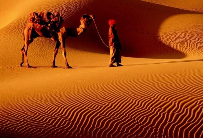 kestävä matka kestävä elämä alueelliset valmistajat gobi desert camel