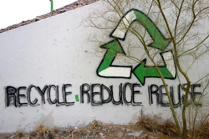 kestävä muoti ekologinen vaatetus vegaani muoti ekologinen kestävyys graffity