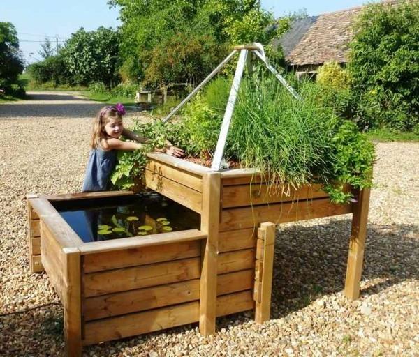 kestävän puutarhatrendin aquaponics