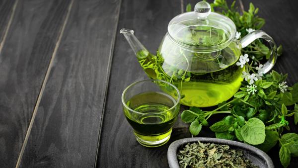 Juominen luonnollista rasvaa polttavia vihreää teetä löytää monia positiivisia puolia