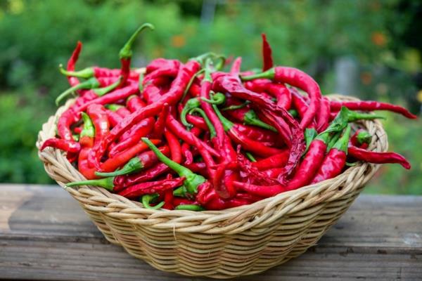 luonnollinen verta ohentava chili paprika cayennepippuri