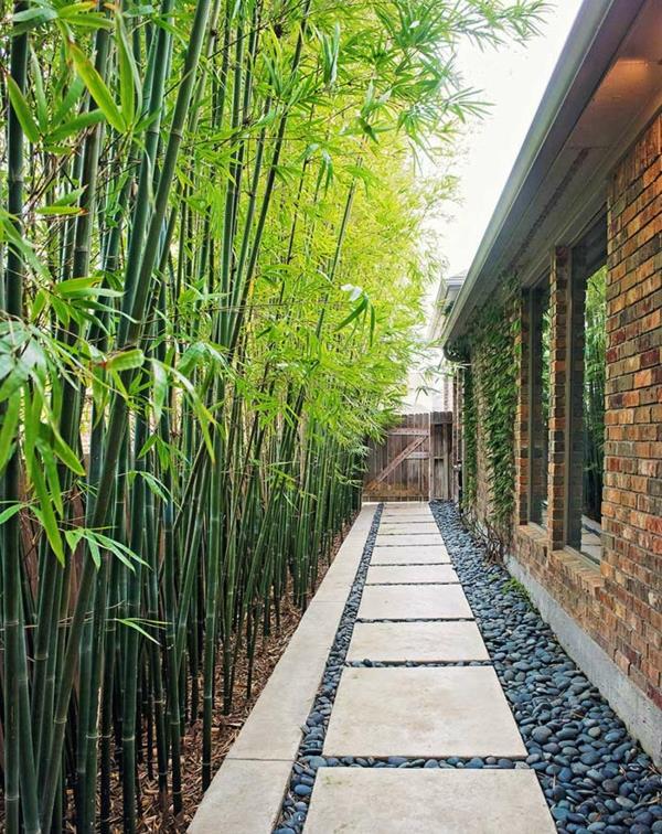 luonnollinen yksityisyysnäyttö bambu luonnollisesti raikas lähellä luontoa