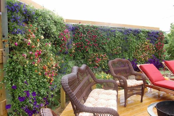 luonnollinen yksityisyyden suoja kukkiva hedge tuoreet värit