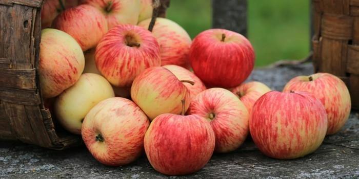 luonnolliset korjaustoimenpiteet vesimeloni terveellinen kotihoito migreeniä vastaan ​​omenasato