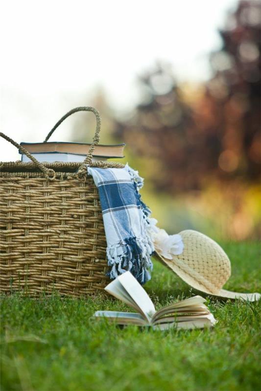 nauti luonnon vapaa -ajan piknik -peitteistä sinisen sävyistä