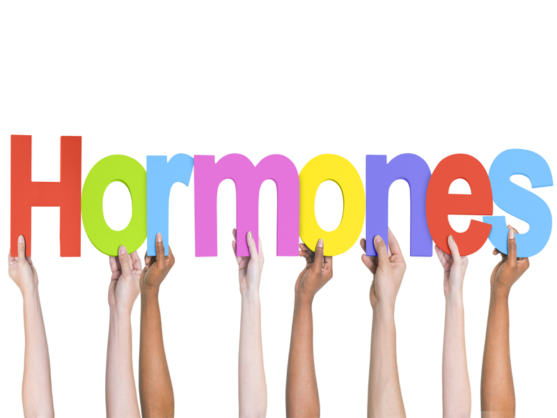 Természetes tippek a hormonok kiegyensúlyozásához