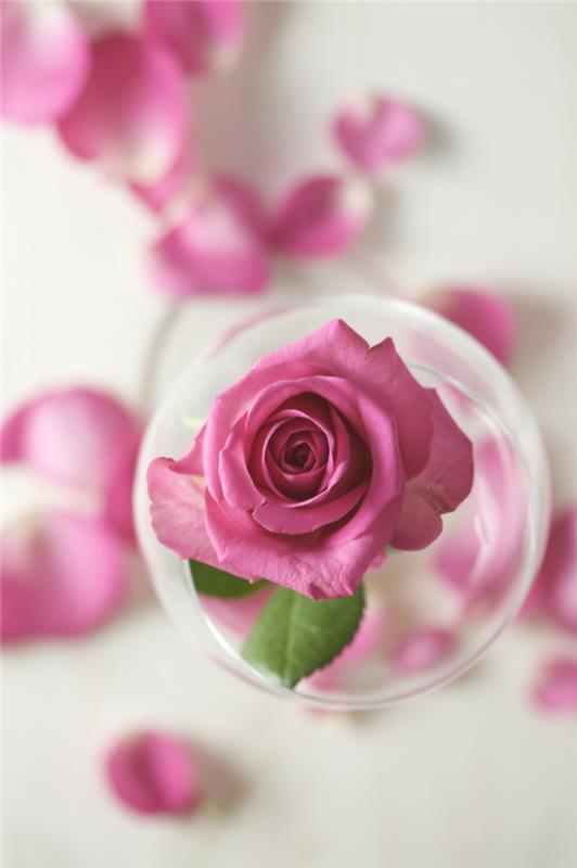 luonnonkosmetiikka ruusuvesi DM tuoksu ruusun kukka