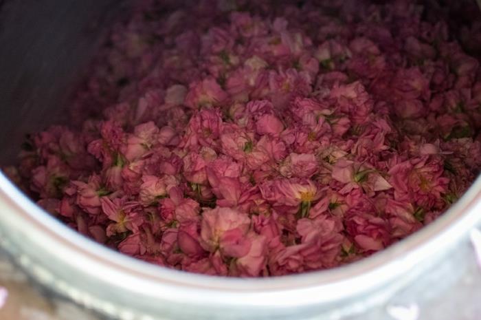 luonnonkosmetiikka rosenwasser DM ruusun kukat vesikukat