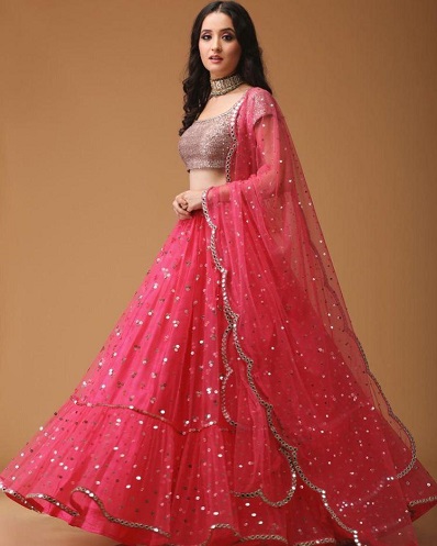 Pink Net Lehenga Choli