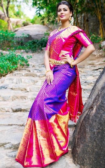 Long Border Pattu Sarees