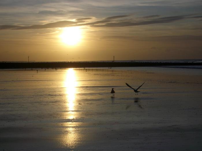 norderney nordesee itä -friisin saari valkoinen dyyni hämärä