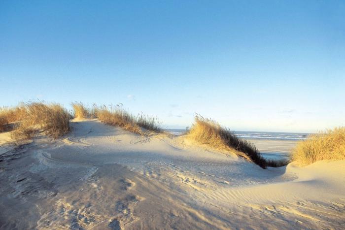 norderney nordesee itä -friisin saari valkoinen dyyni auringonlasku