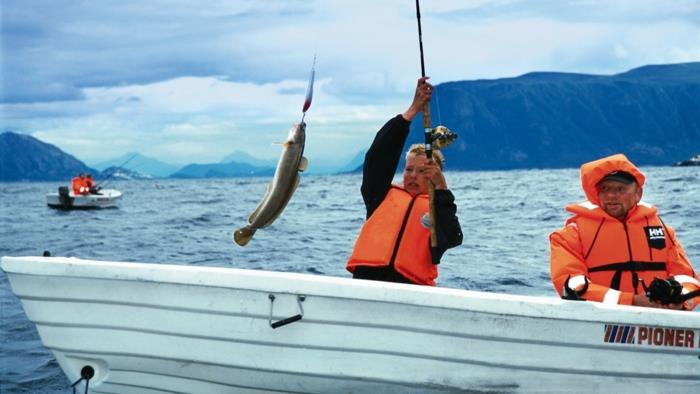 Norjan vuonon kalastus