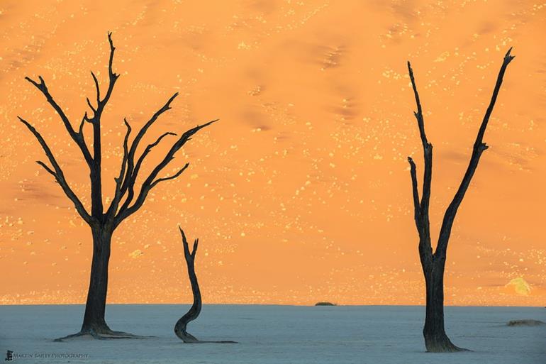optiset harhat kuvat kaunis luonto kuvia aavikko namibia