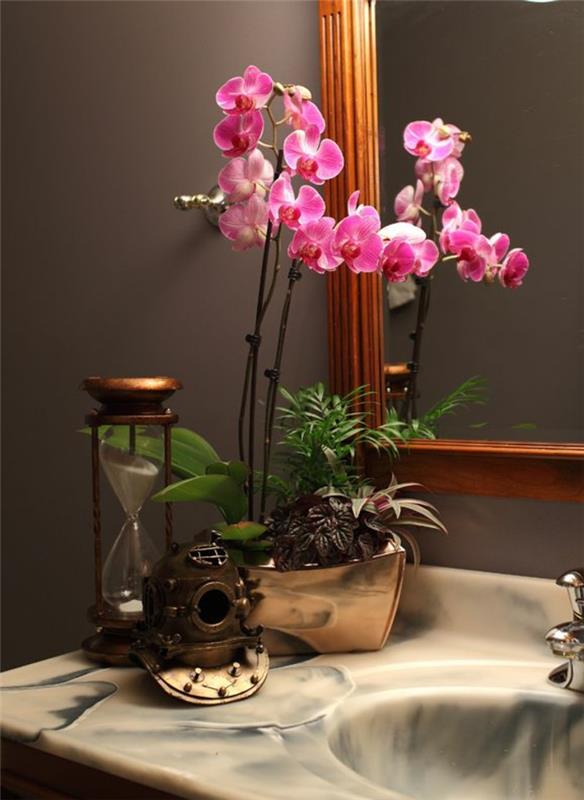 orkideat hoitavat huonekasveja kylpyhuoneen koristeita