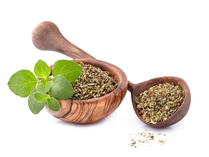 Oregano under graviditeten