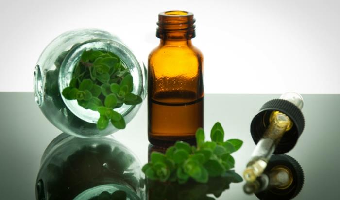 oregano -sato oreganoöljyä ja tuoreita lehtiä