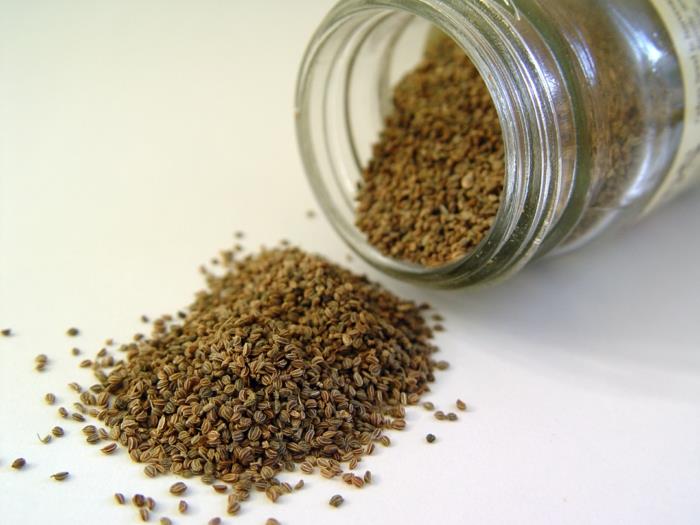 oregano sato oregano siemenet yrtti puutarha parveke