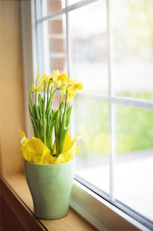 pääsiäinen koristelu ikkuna ikkuna koristelu kukat