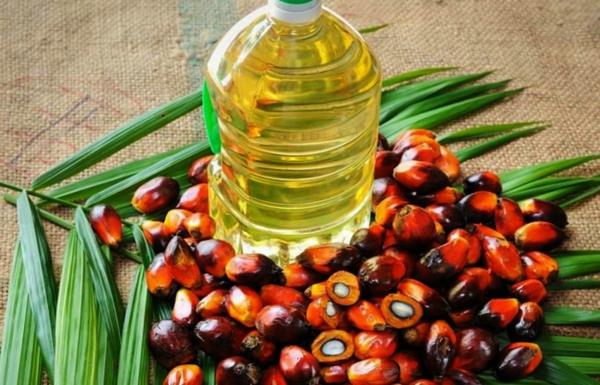 palmuöljy terveellistä tai ei