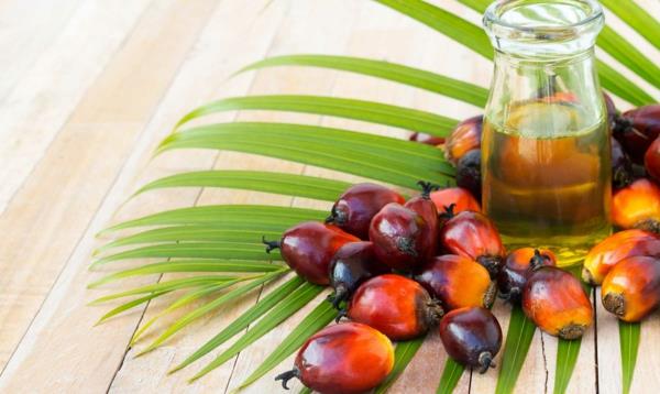 terveellisiä vinkkejä palmuöljystä