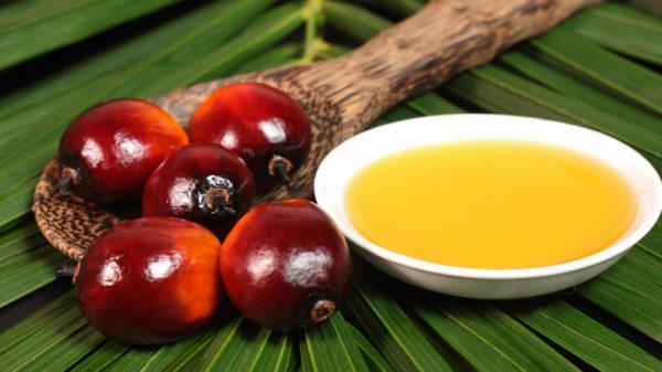 palmuöljyn terveellinen vaikutus