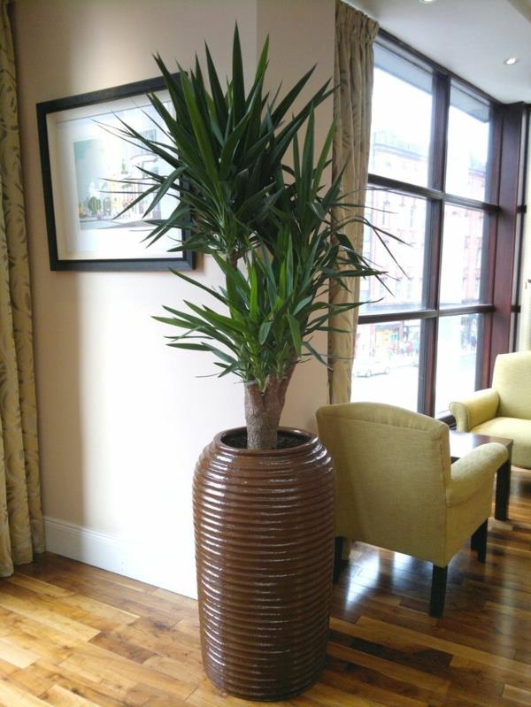 kasvi potin yucca olohuone