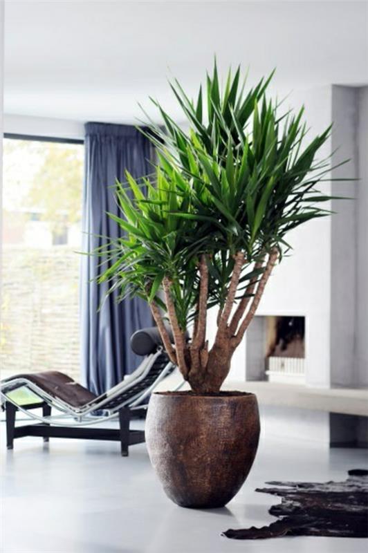 palmlilie yucca olohuoneen lepotuolin turkimatto