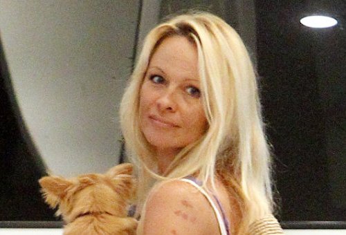 Pamela Anderson smink nélkül