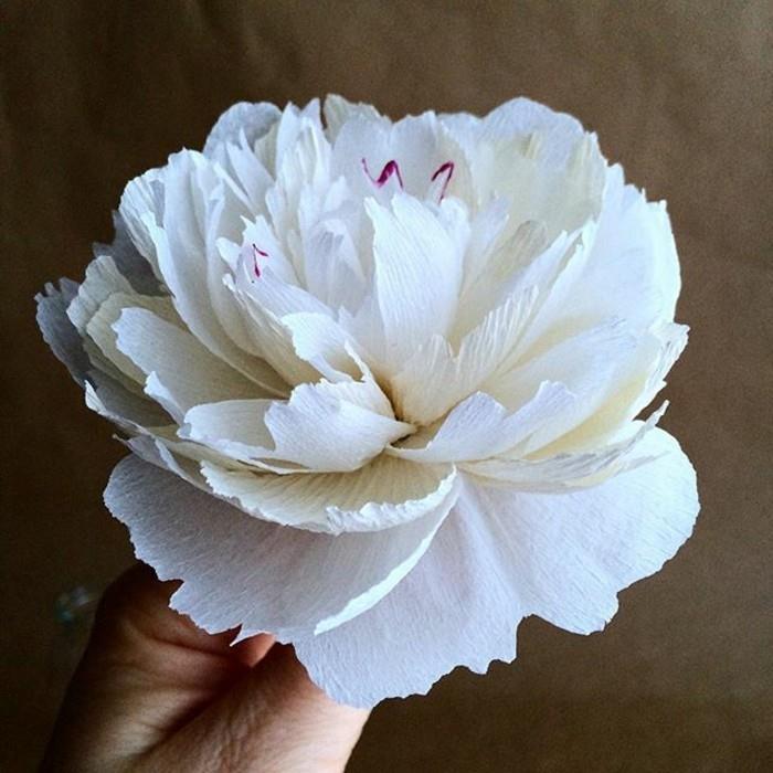 paperi kukat tinker valkoinen pioni paperi taidetta