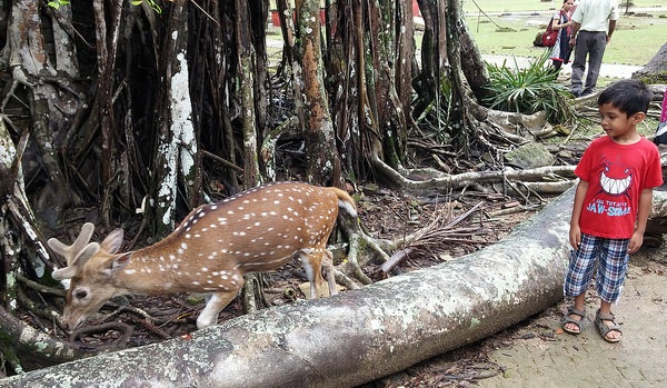 parks-in-andaman-and-nicobar_button-island-national-parks