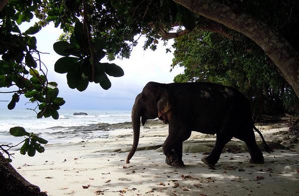 parker-i-andaman-og-nicobar_mount-harriet-island-national-park