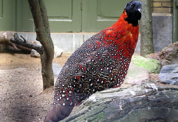 shirui-nationalpark