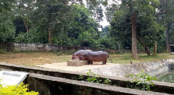 parkok-in-tripura-sipahijola-vadvilág-szentély