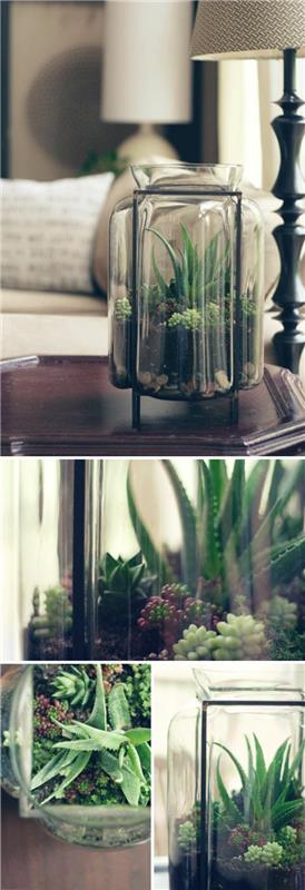 vastaavat terrariumkasvit lasiastia sammal koriste -esineitä