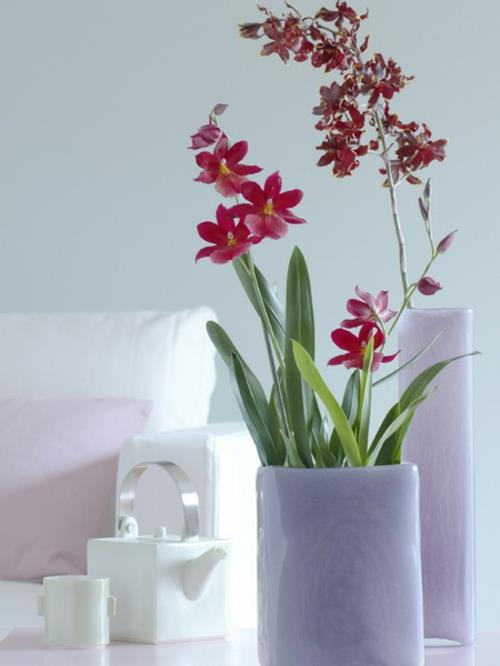 orkideat idea kirkkaan punaiset pastellisävyt valkoinen nahkasohva